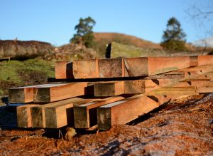 Mobile Sawmilling Lakeland Larch